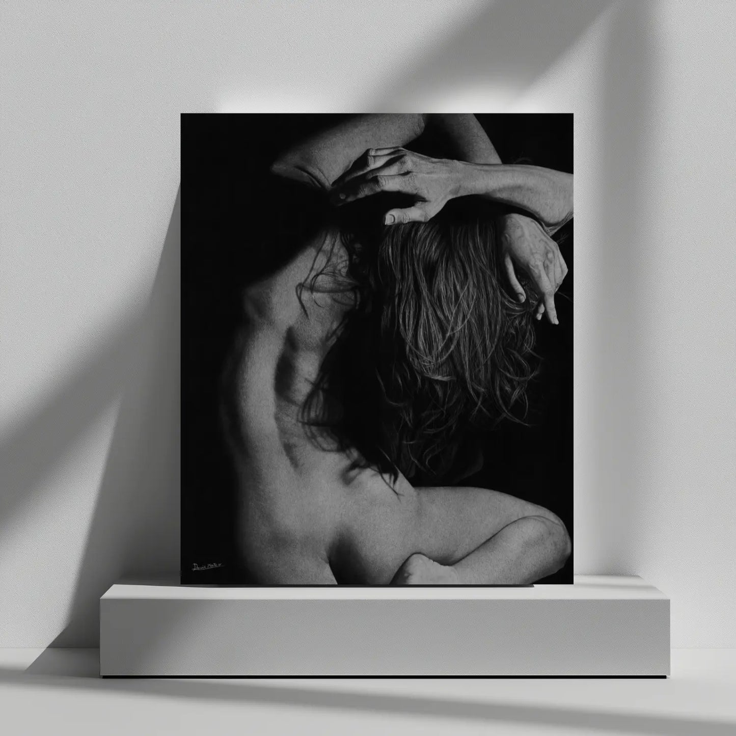 Lámina para cuadros modernos de un desnudo femenino.