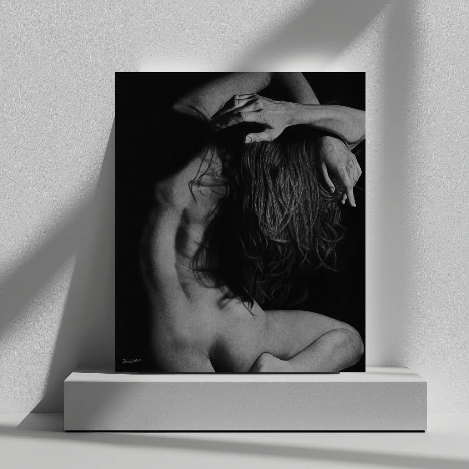 Lámina para cuadros modernos de un desnudo femenino.