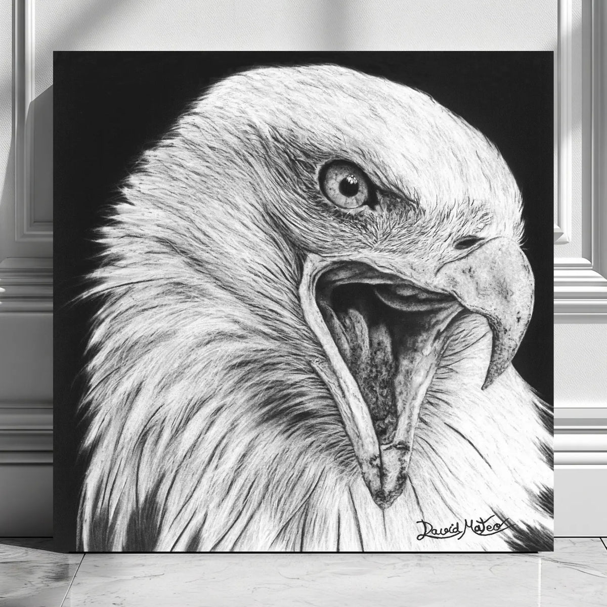 Lámina para pared decorativa de un águila calva dibujada a mano por el artista David Mateo con carboncillo.