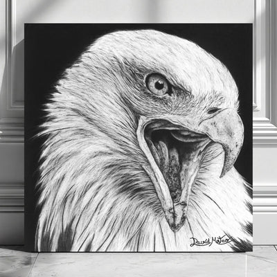 Lámina para pared decorativa de un águila calva dibujada a mano por el artista David Mateo con carboncillo.