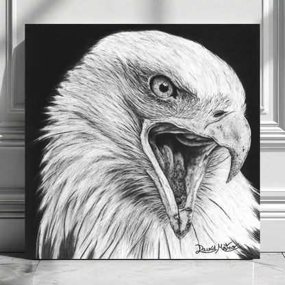 Lámina para pared decorativa de un águila calva dibujada a mano por el artista David Mateo con carboncillo.