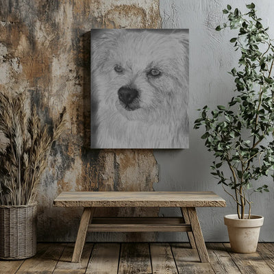 Lámina decorativa para pared de un perro hiperrealista a grafito dibujado por el artista David Mateo colocada en una pared de una habitación moderna.