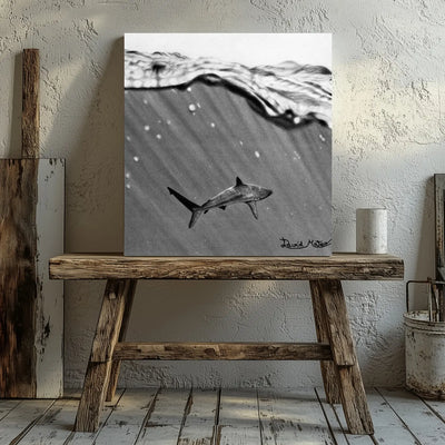 Lámina decorativa para pared de un tiburón hiperrealista a carboncillo realizada por el artista David Mateo. Dibujo a lápiz para decoración de interiores de animales salvajes.