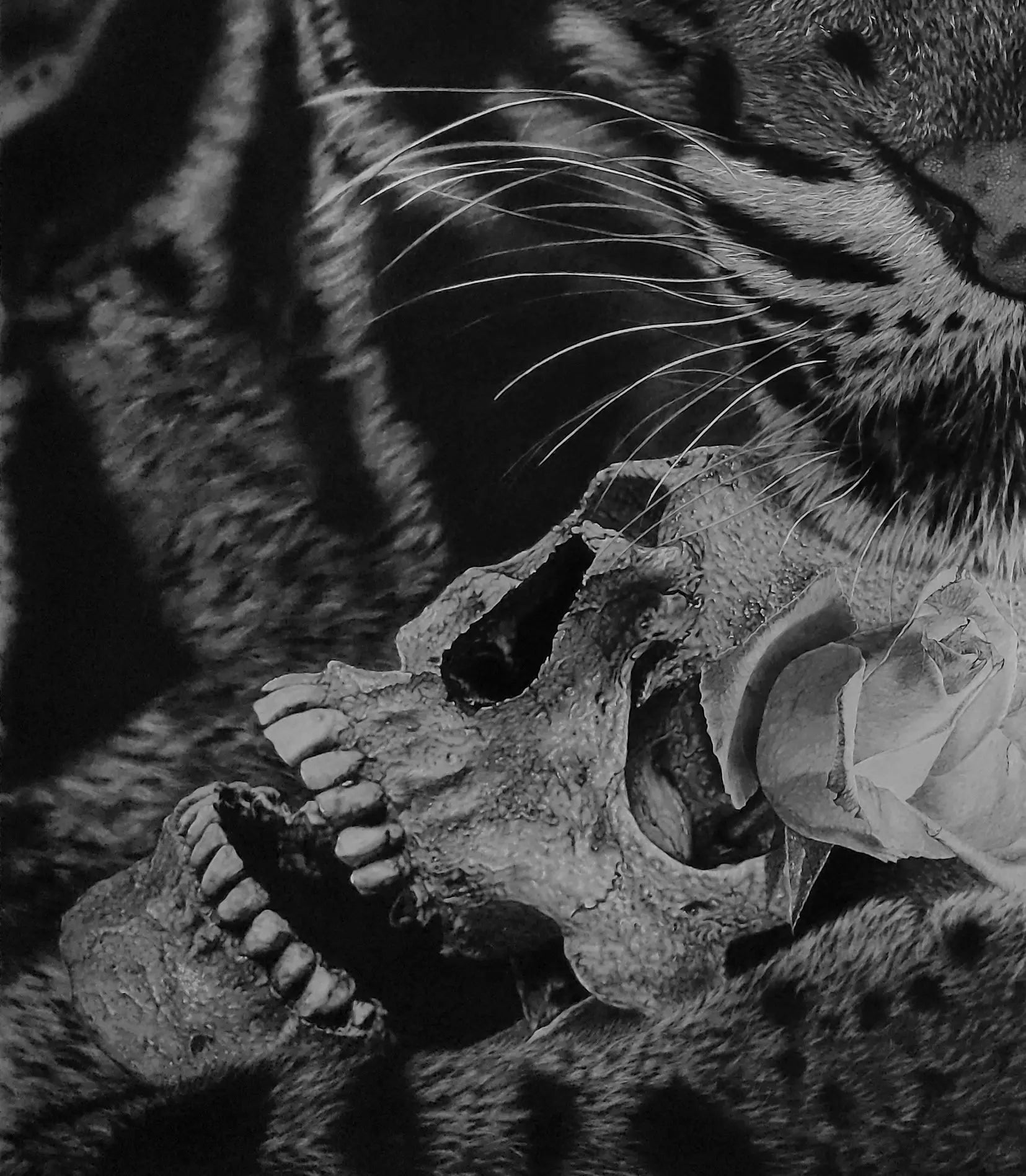 Detalle del pelaje y las motas faciales del leopardo nublado en la obra original.