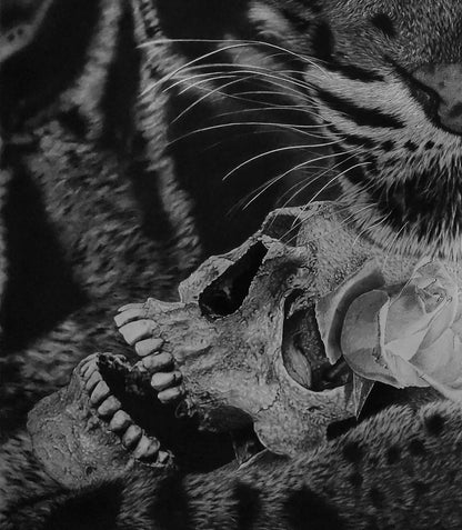 Detalle del pelaje y las motas faciales del leopardo nublado en la obra original.