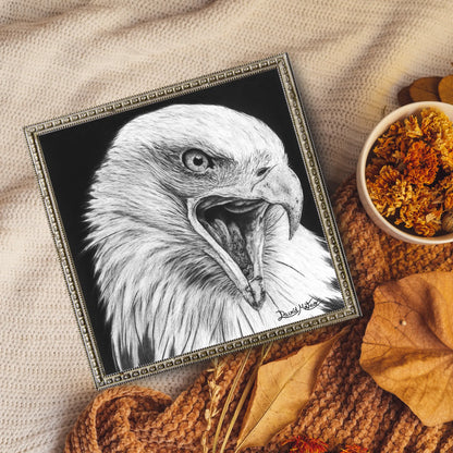 Lámina enmarcada con luz natural. Presenta un dibujo a lápiz de un águila con el pico abierto mostrando la garganta, con plumaje detallado en blanco y negro.