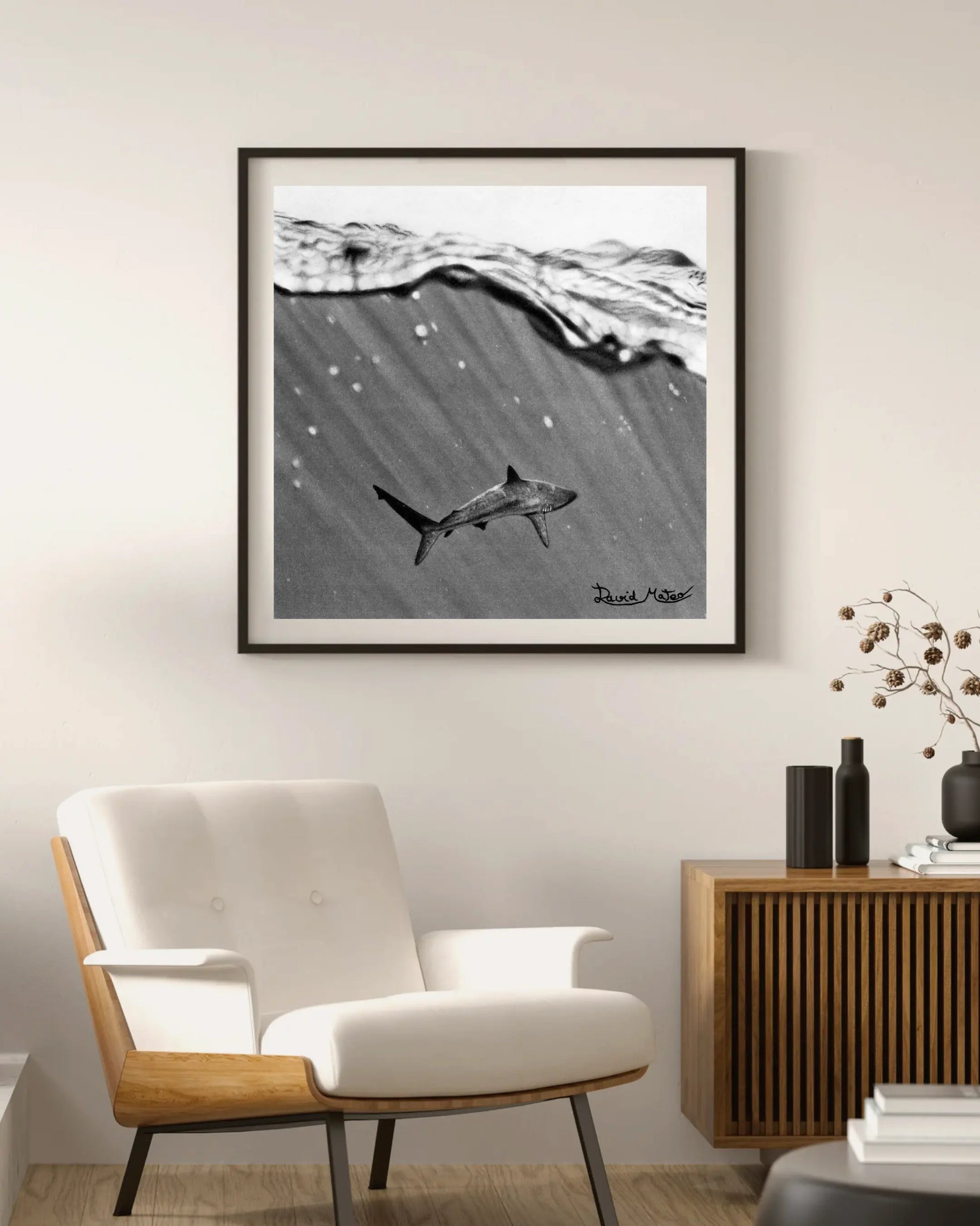 Lámina enmarcada y colgada en pared con sombras de plantas. Muestra el dibujo a lápiz de un tiburón visto desde abajo, con la superficie del agua en la parte superior.