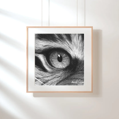 Dibujo a lápiz de grafito/carboncillo con alto contraste. Detalle de los pelos alrededor del ojo del tigre, destacando los tonos grises y negros profundos.