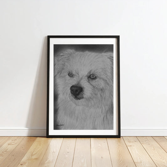 Retrato hiperrealista de la mascota 'Peeta'. Un dibujo a lápiz que captura la ternura y la fidelidad del perro, perfecto para amantes de los animales.