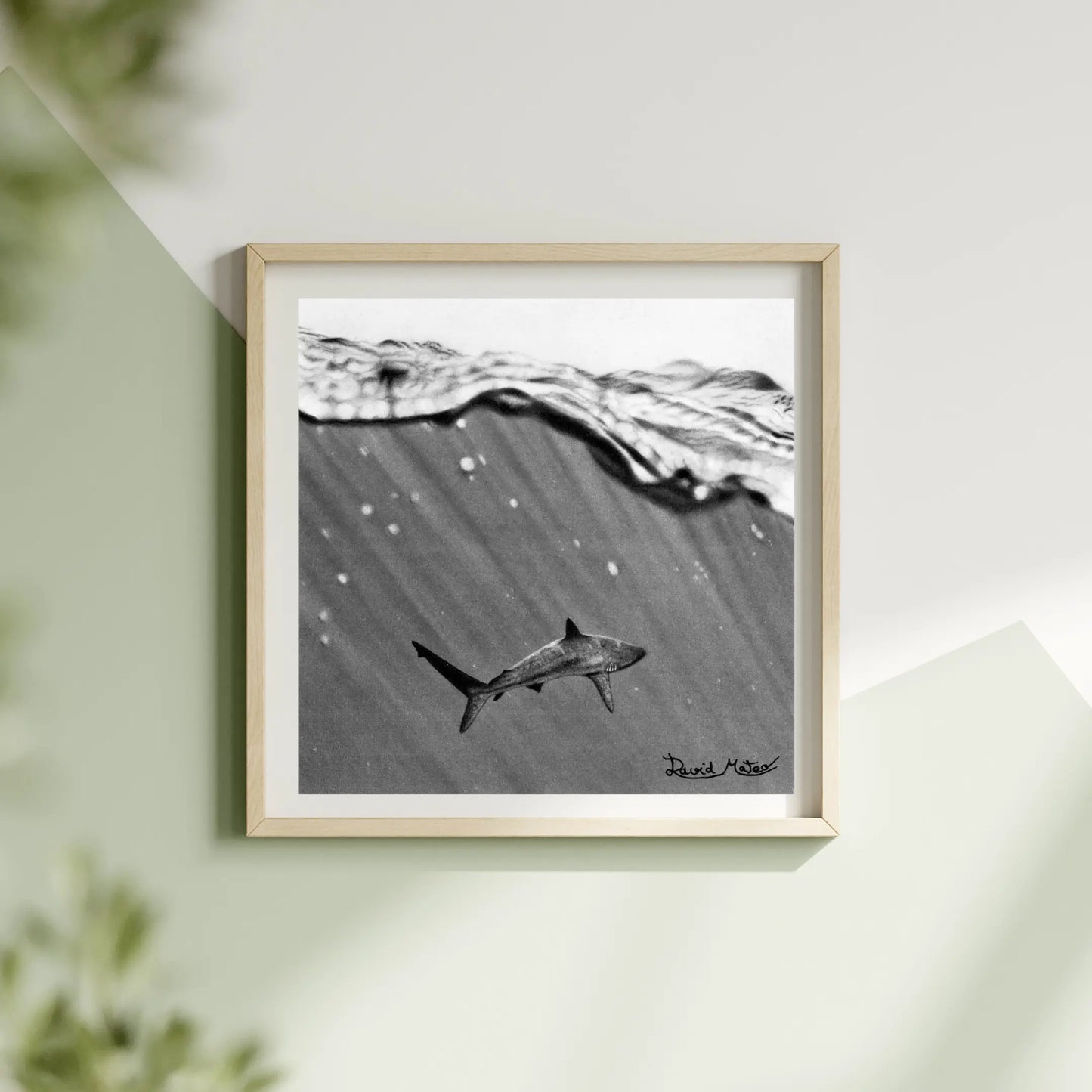 Cuadro cuadrado en blanco y negro de un tiburón. Enmarcado en madera clara, ideal para decoración costera, minimalista o temática de vida marina.