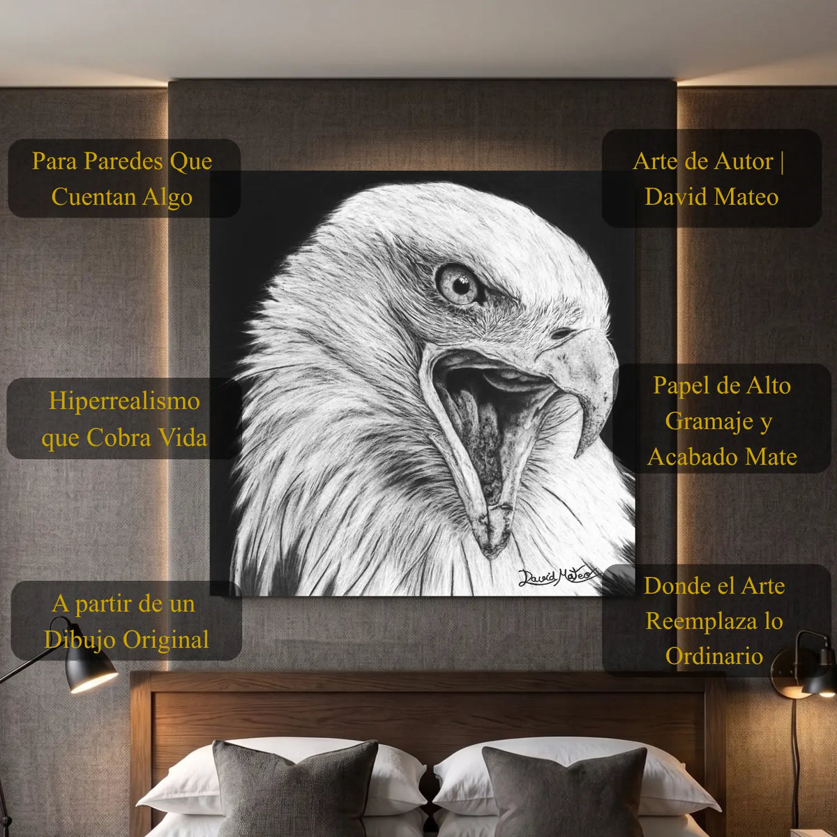 Poster decorativo moderno de un águila calva realizada a carboncillo por el artista David Mateo.