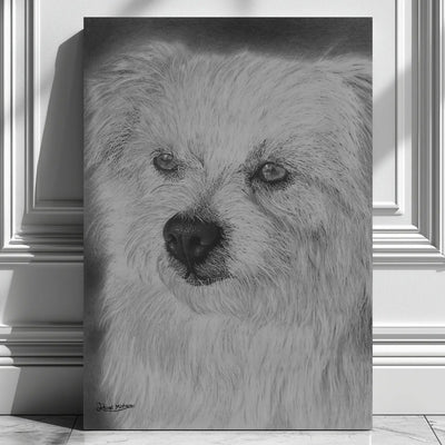 Poster decorativo de un perro blanco dibujado a mano con lápices de grafito por David Mateo.