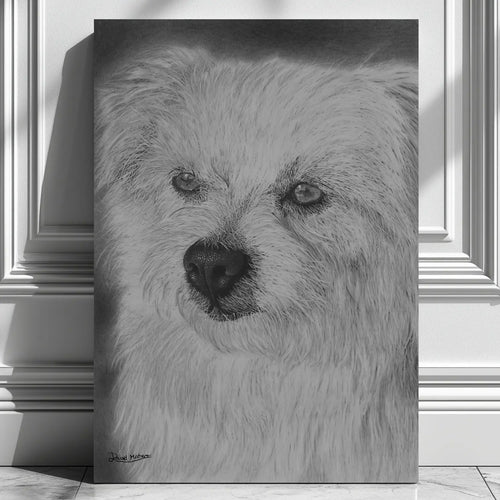 Poster decorativo de un perro blanco dibujado a mano con lápices de grafito por David Mateo.
