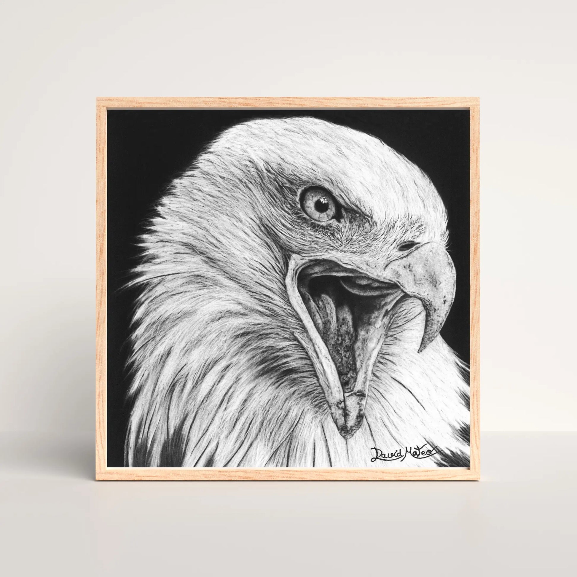 Retrato dramático de un águila con una expresión intensa y feroz. El arte monocromático captura la emoción cruda del depredador del cielo.