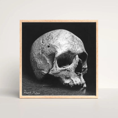 Lámina 'Memento Mori'. Dibujo hiperrealista de un cráneo humano que evoca la reflexión sobre la mortalidad. Una pieza de arte profundo y simbólico.