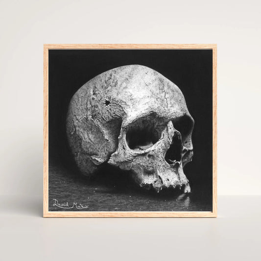 Lámina 'Memento Mori'. Dibujo hiperrealista de un cráneo humano que evoca la reflexión sobre la mortalidad. Una pieza de arte profundo y simbólico.