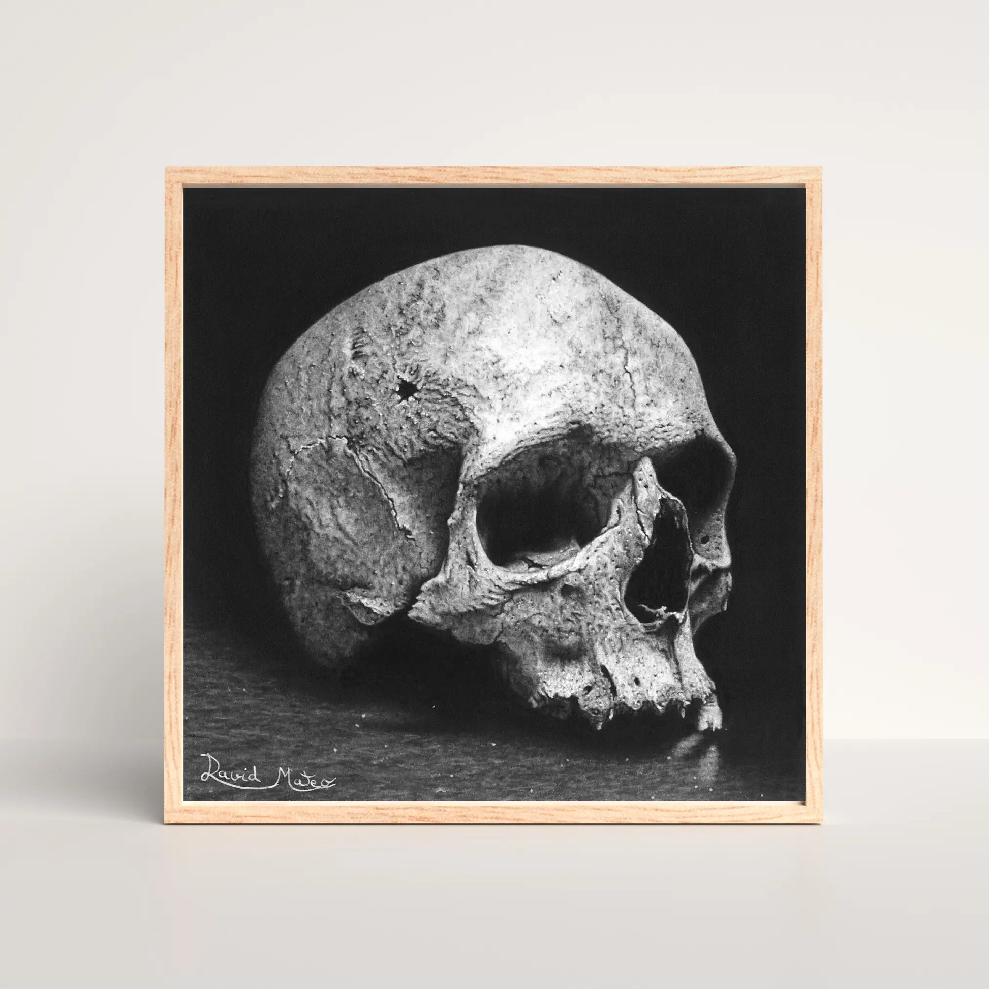 Dibujo a carboncillo hiperrealista de una calavera. Arte gótico del artista David Mateo.