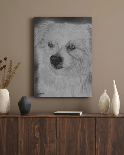 Lámina del perro con pelaje blanco, un dibujo a carboncillo con detalle extremo de cada mechón y la textura suave del pelo. Exquisita técnica hiperrealista.