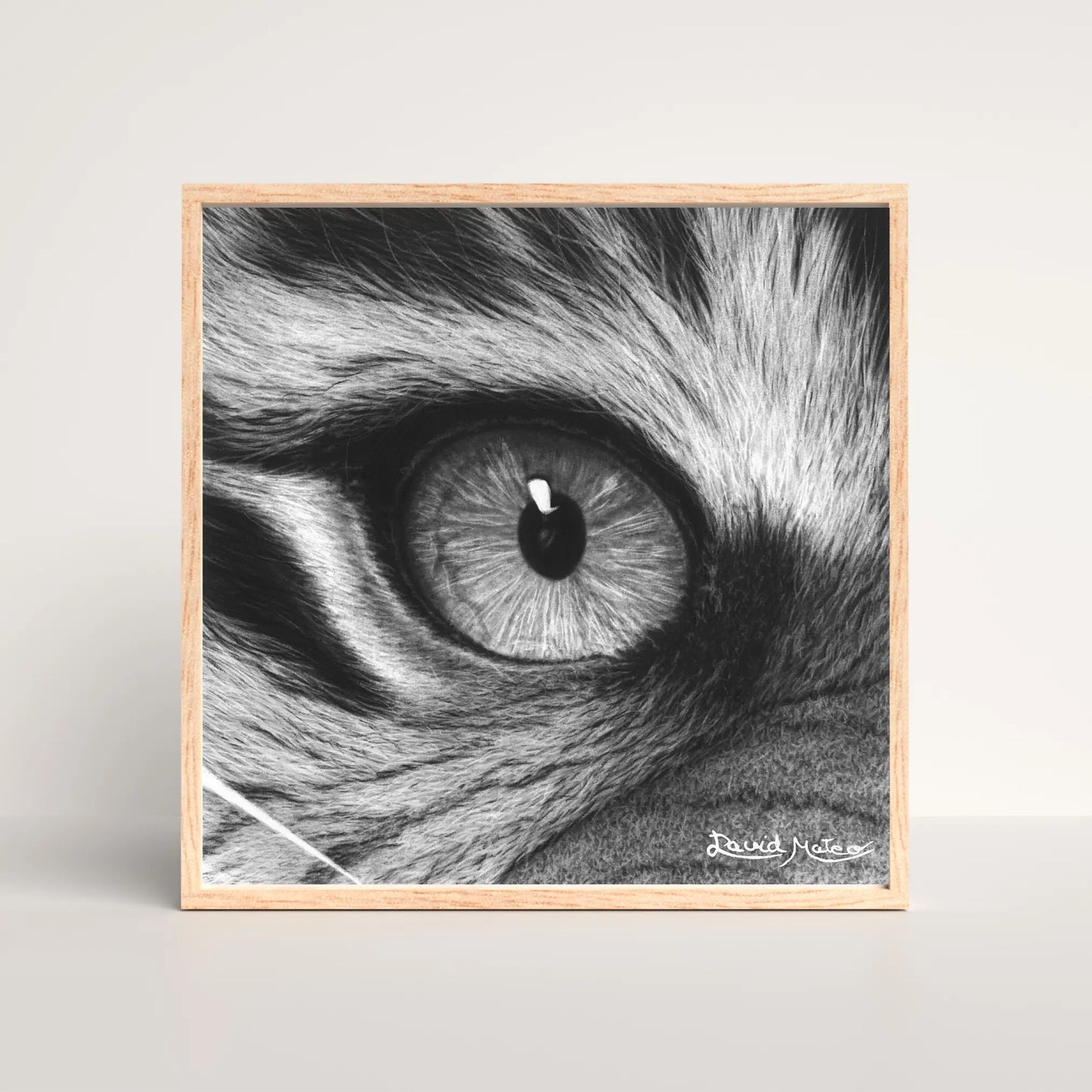 Obra de David Mateo Art. Reproducción de alta calidad del dibujo del ojo de tigre, ideal para coleccionistas de retratos de animales.