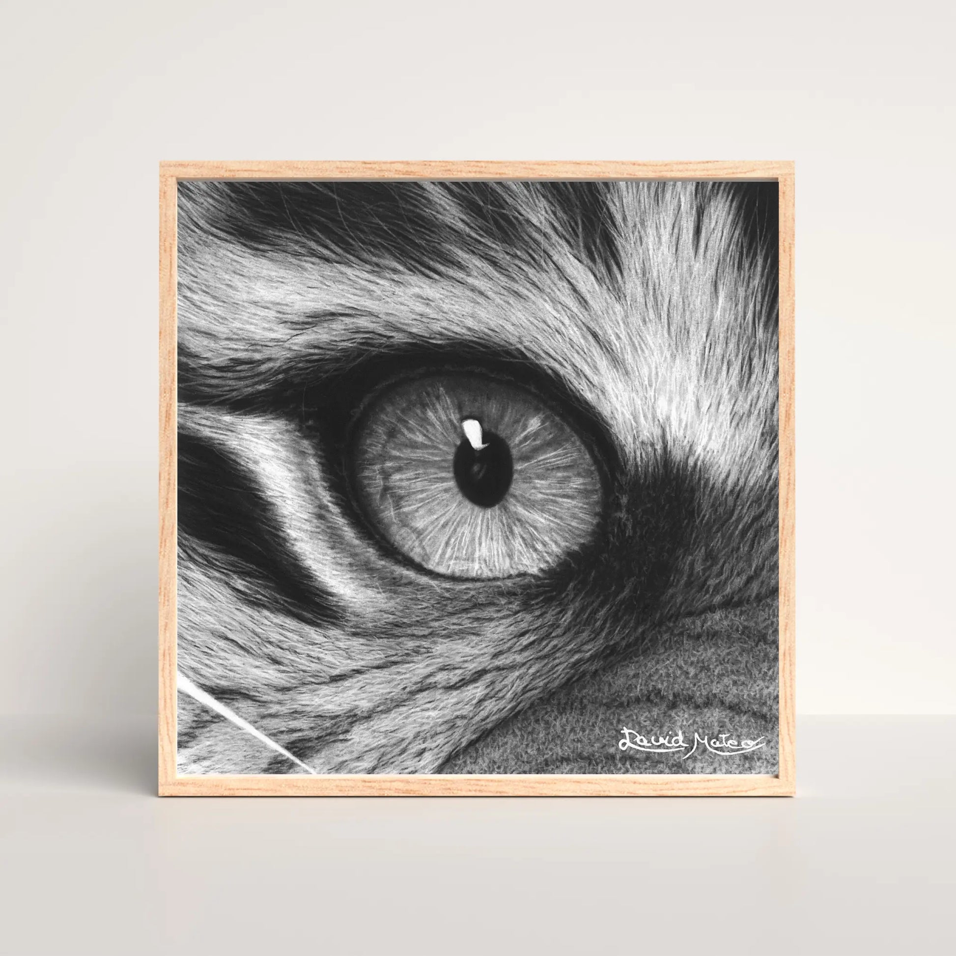 Obra de David Mateo Art. Reproducción de alta calidad del dibujo del ojo de tigre, ideal para coleccionistas de retratos de animales.