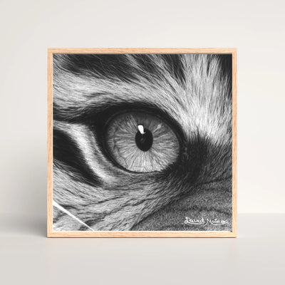 Primerísimo plano del ojo de un tigre dibujado a carboncillo, 
lámina hiperrealista en blanco y negro por David Mateo.