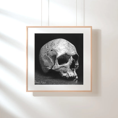 Dibujo de calavera hiperrealista del artista David Mateo. Arte gótico para la decoración del hogar.