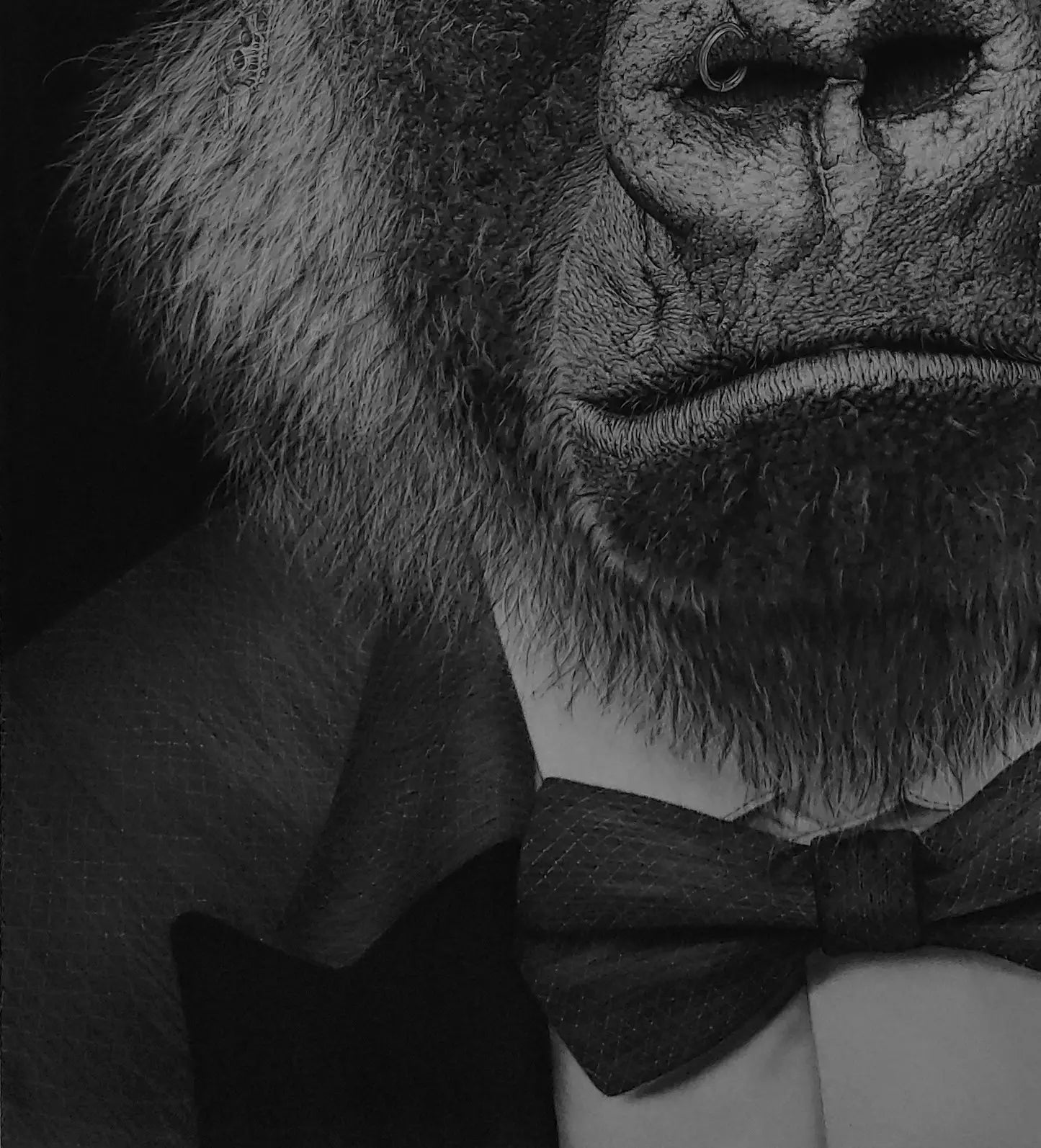 Detalle en primer plano del pelaje y textura del retrato en carboncillo del gorila de la obra “¡Qué mono!”.