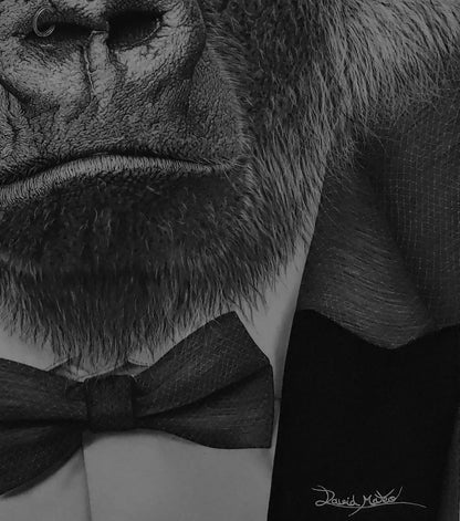 Detalle de sombreado, piel y barba del retrato de gorila realizado en carboncillo por David Mateo Art.