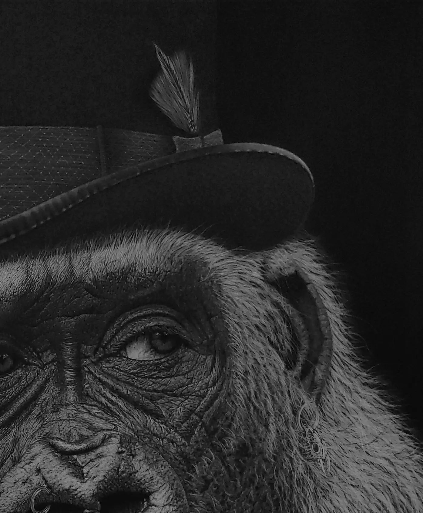 Primer plano del sombrero y parte superior del rostro del gorila dibujado en carboncillo en la obra “¡Qué mono!”.