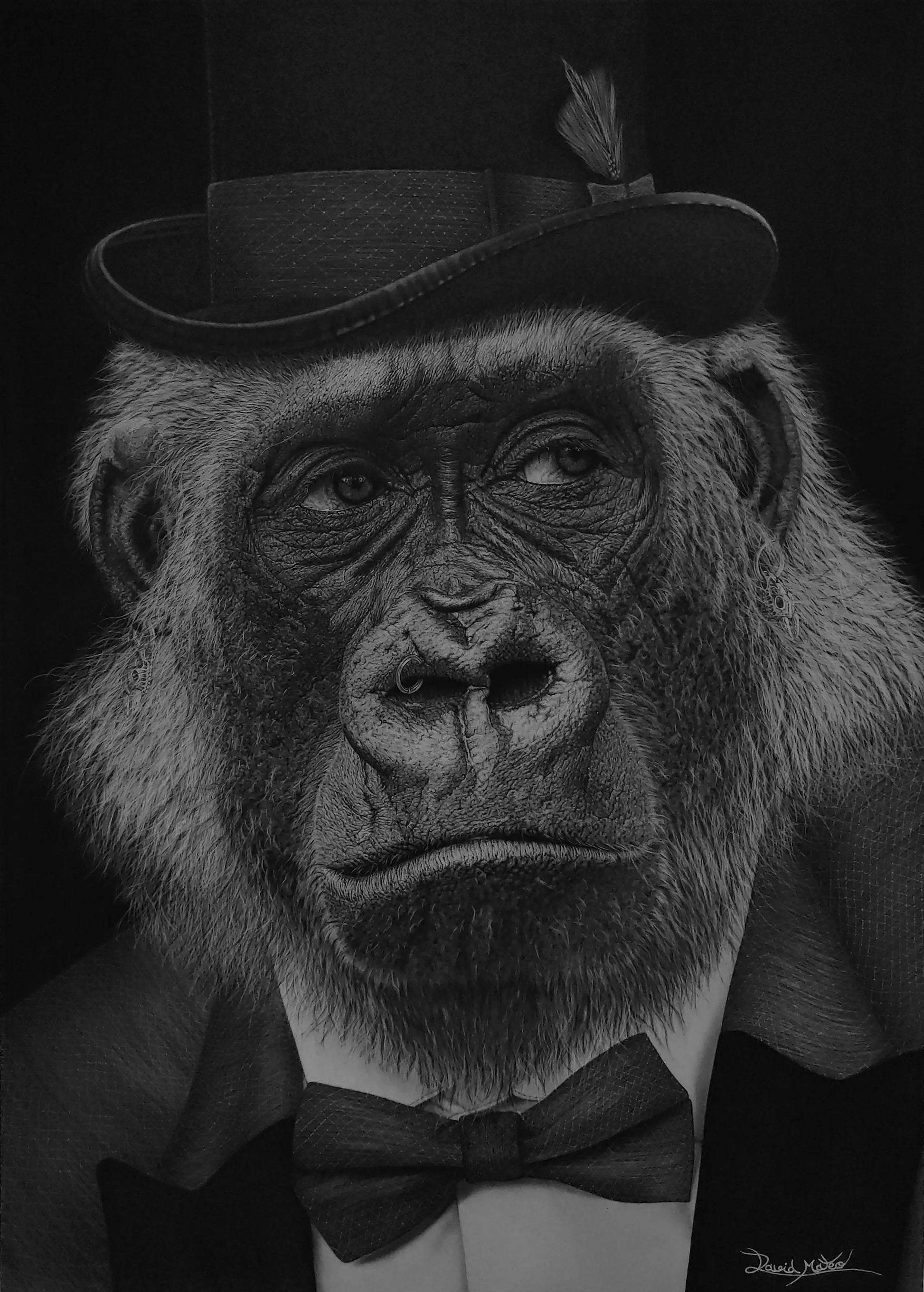 Retrato original en carboncillo de un gorila con sombrero, obra “¡Qué mono!” de David Mateo Art.