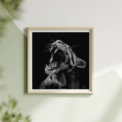 Lámina hiperrealista a carboncillo de un tigre rugiendo con los colmillos expuestos, en un marco vintage sobre un fondo negro.