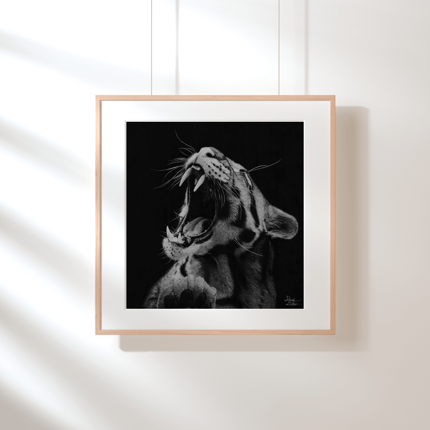 Lámina Fine Art "Salvaje": Retrato de Leopardo a Carboncillo