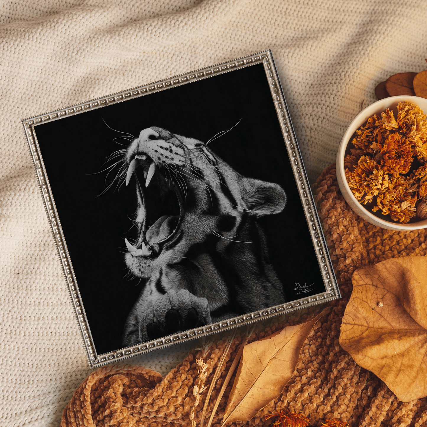 Lámina Fine Art "Salvaje": Retrato de Leopardo a Carboncillo