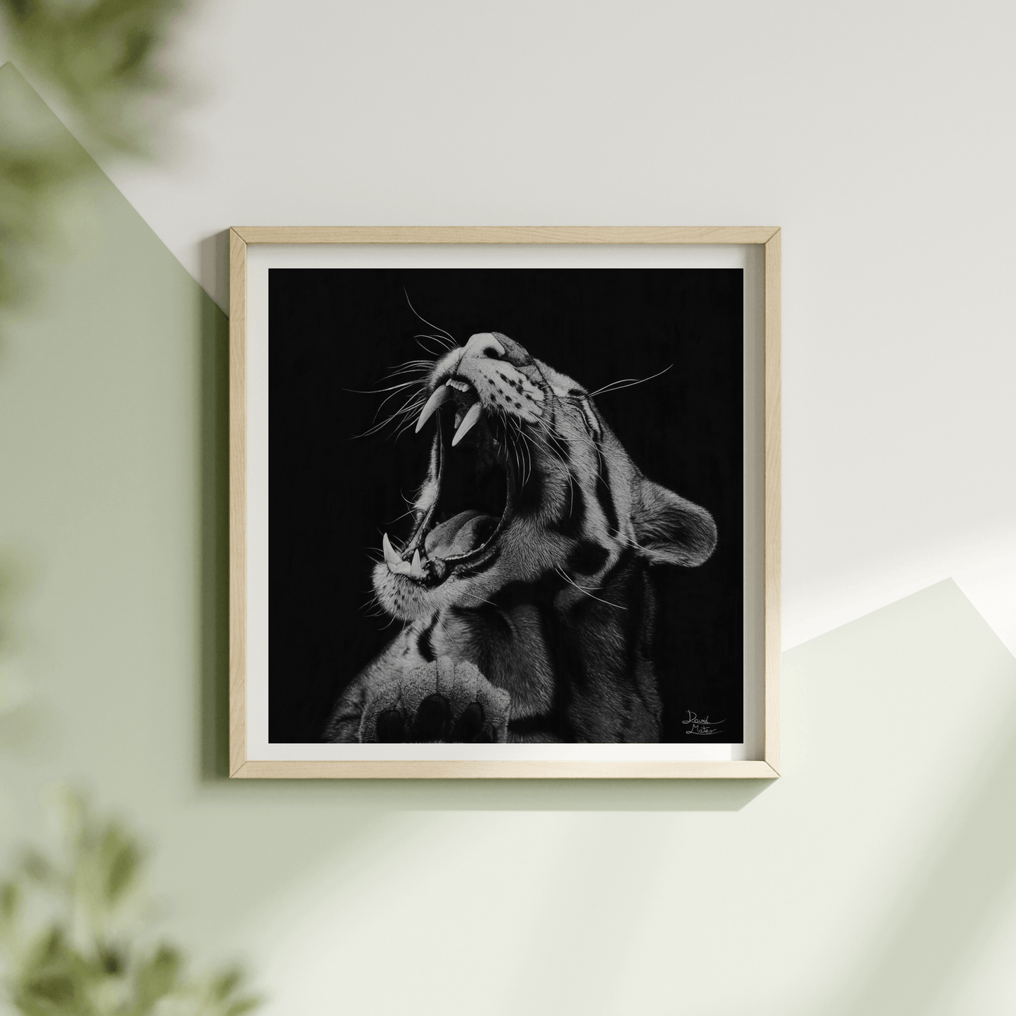 Lámina Fine Art "Salvaje": Retrato de Leopardo a Carboncillo