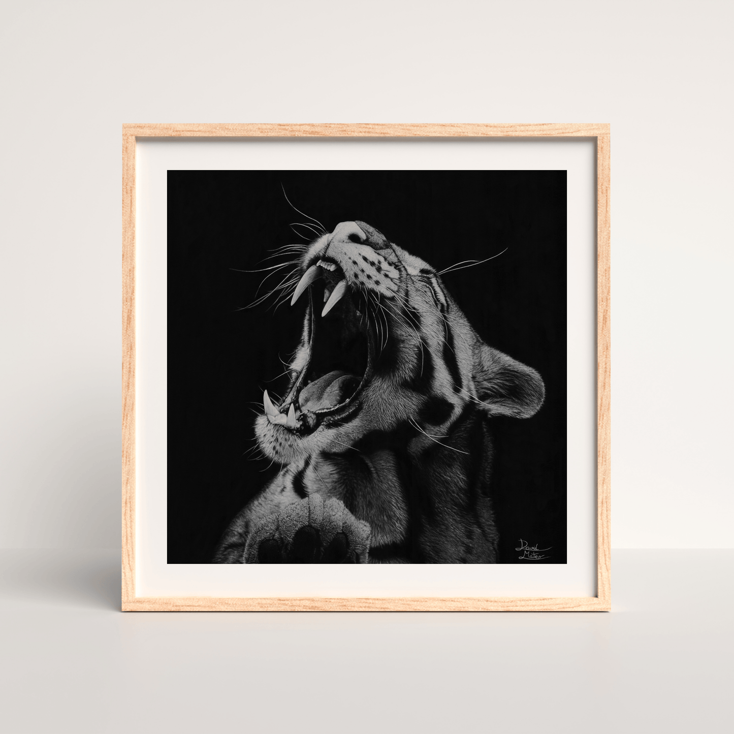 Lámina Fine Art "Salvaje": Retrato de Leopardo a Carboncillo